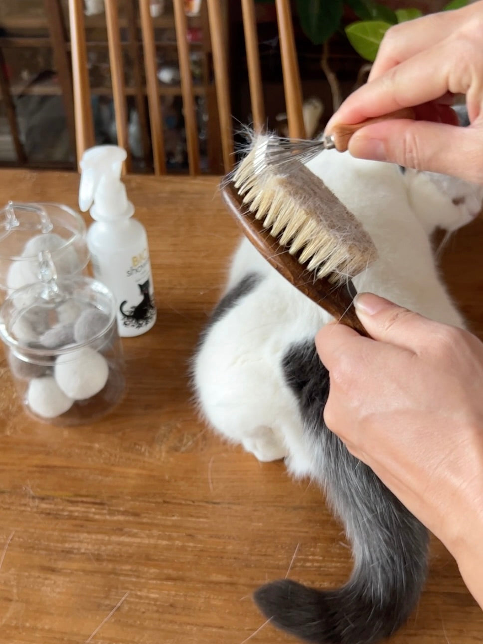 REDECKER キャットブラシ