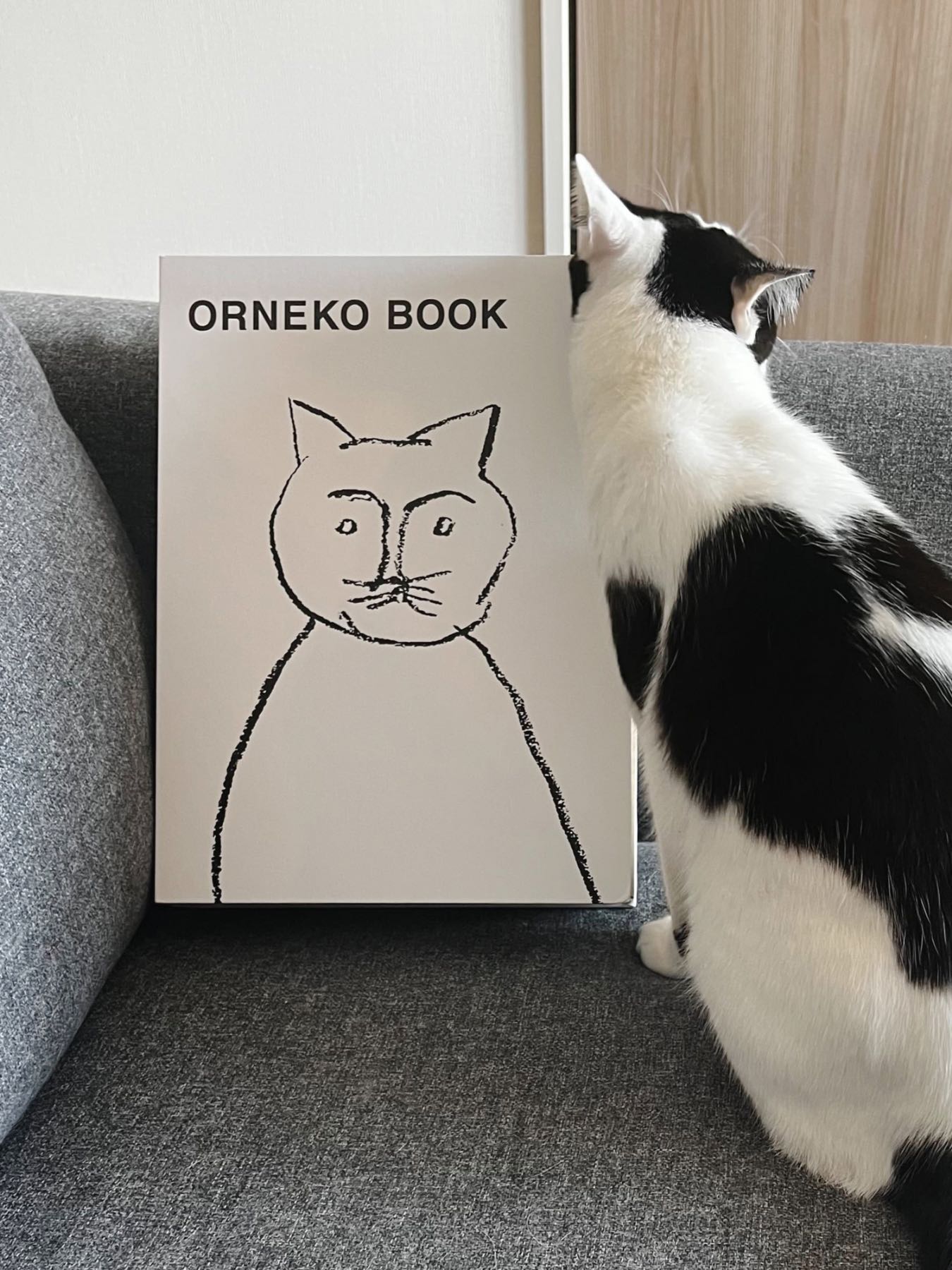 オルネコ・ブック型爪とぎ/ORNEKO BOOK