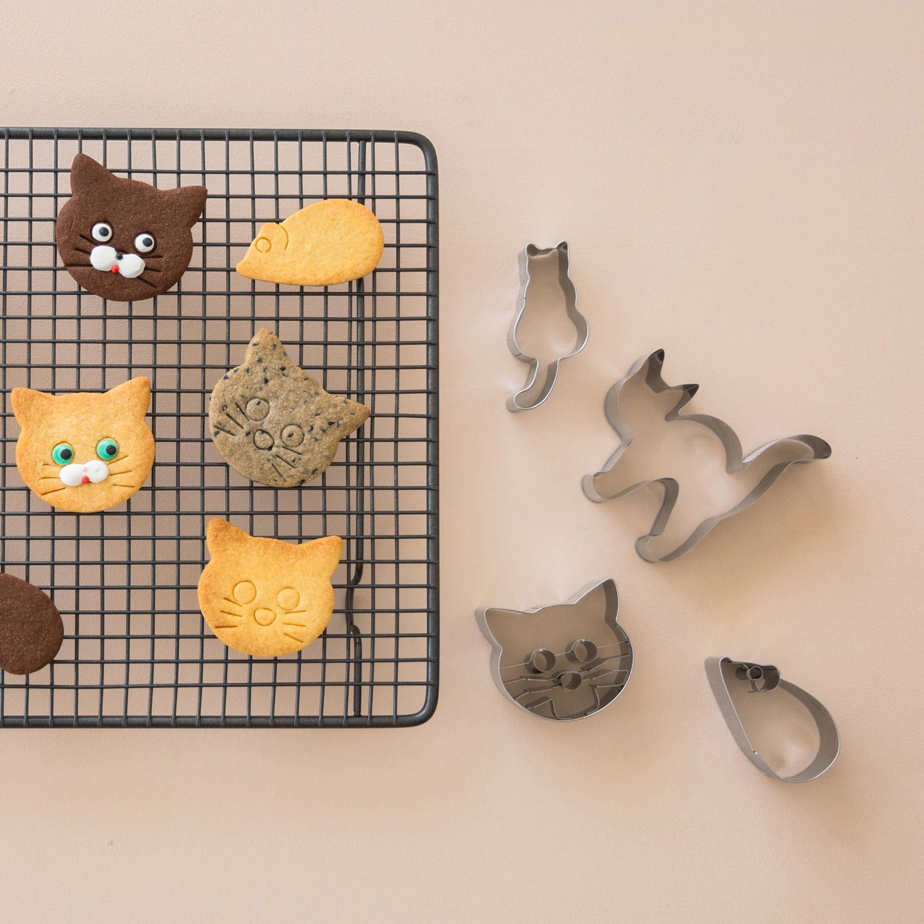 MG_57842.jpg?v=1768964298