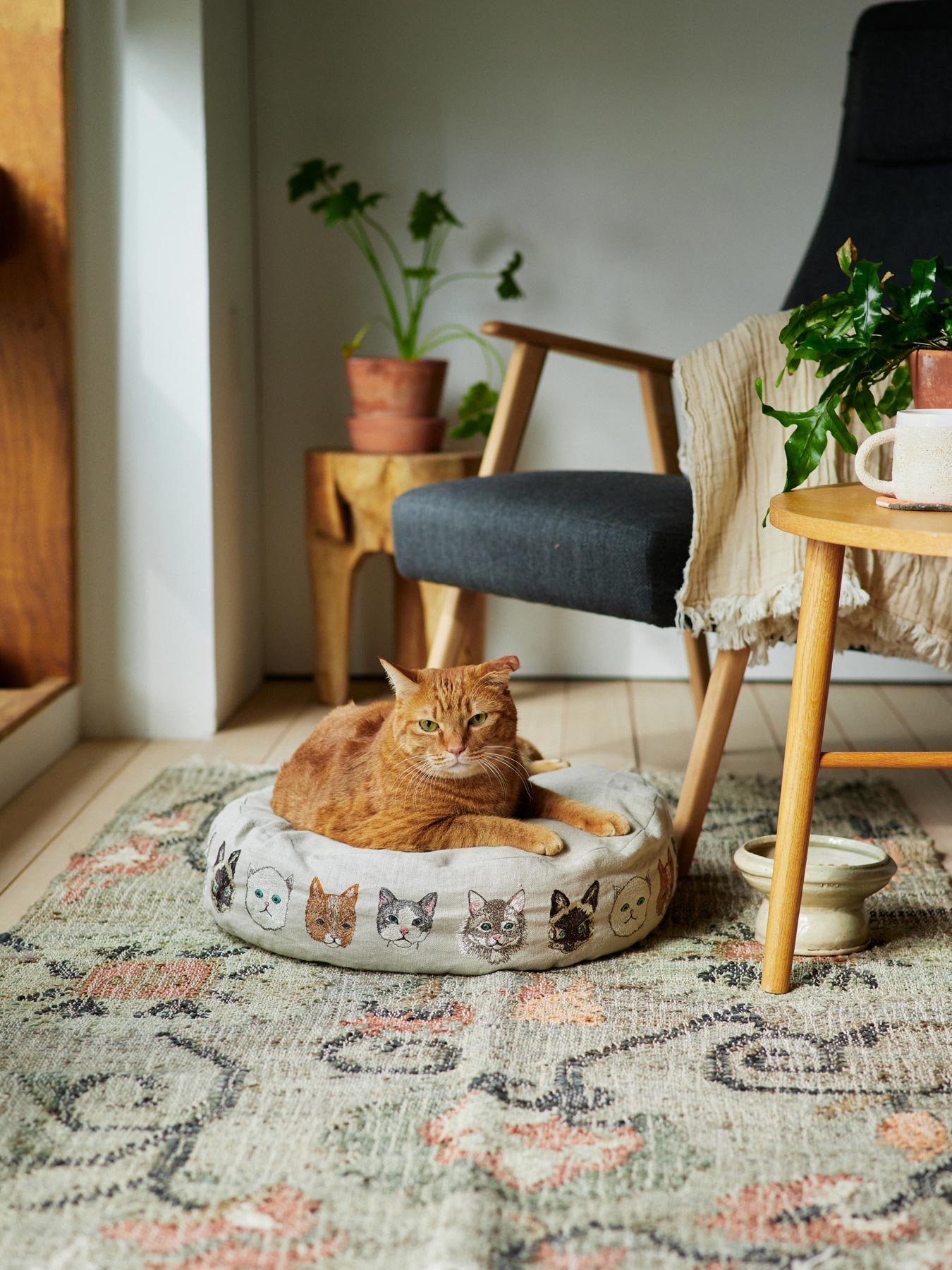 【受注販売】Coral & Tusk × Orneko ラウンドネコベッド