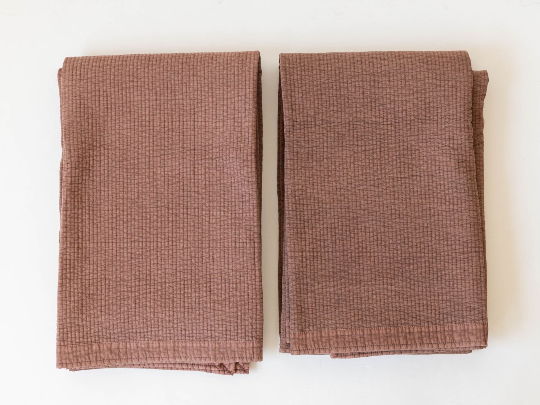 ココアの色味個体差例