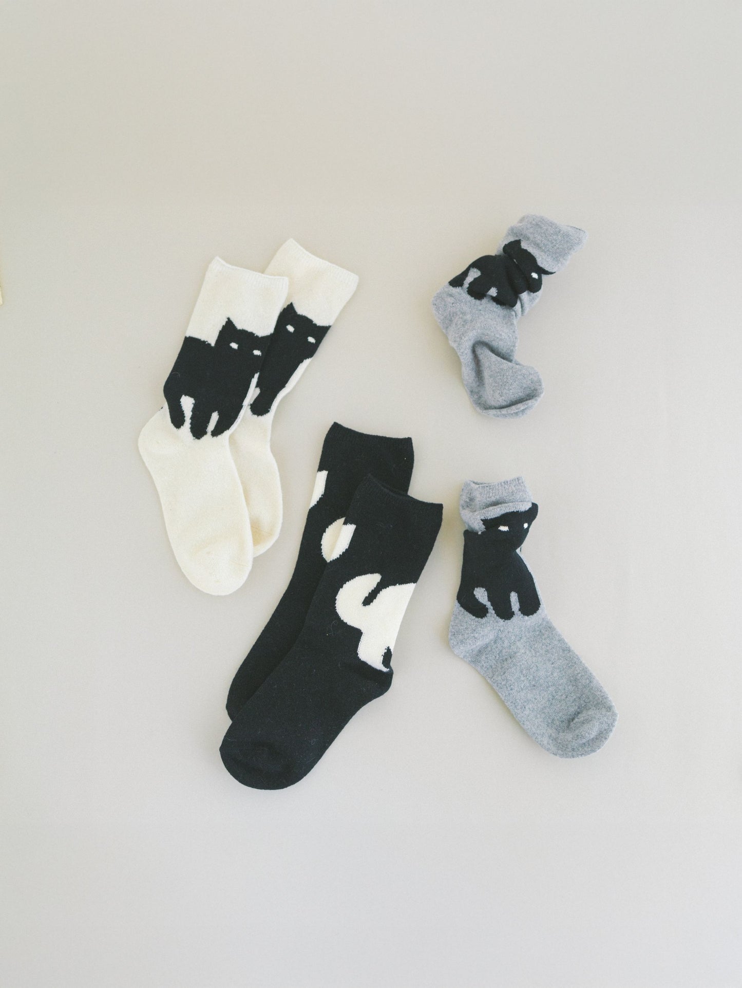 French Bull ソックス/ネコ