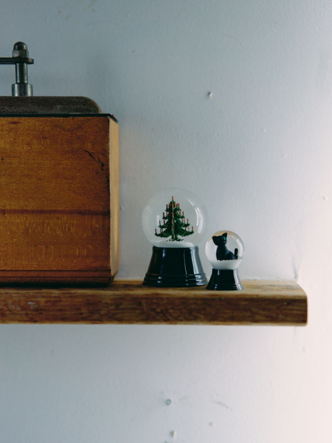 左はM、右がSサイズ