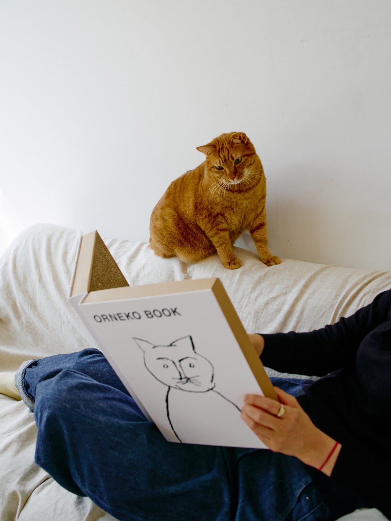 オルネコ・ブック型爪とぎ/ORNEKO BOOK