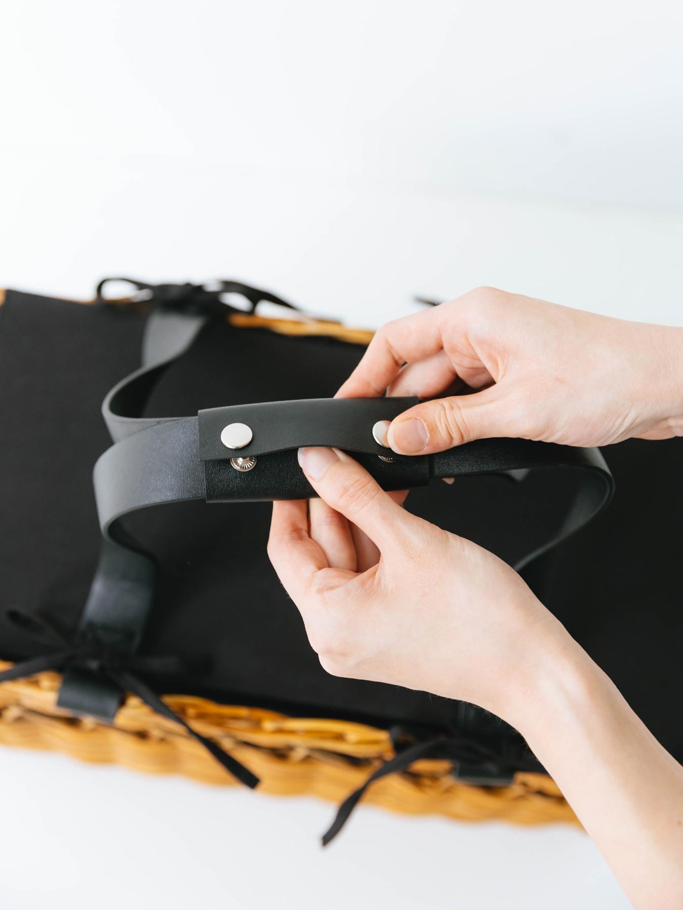 オルネコ×odds アラログキャリーバッグ