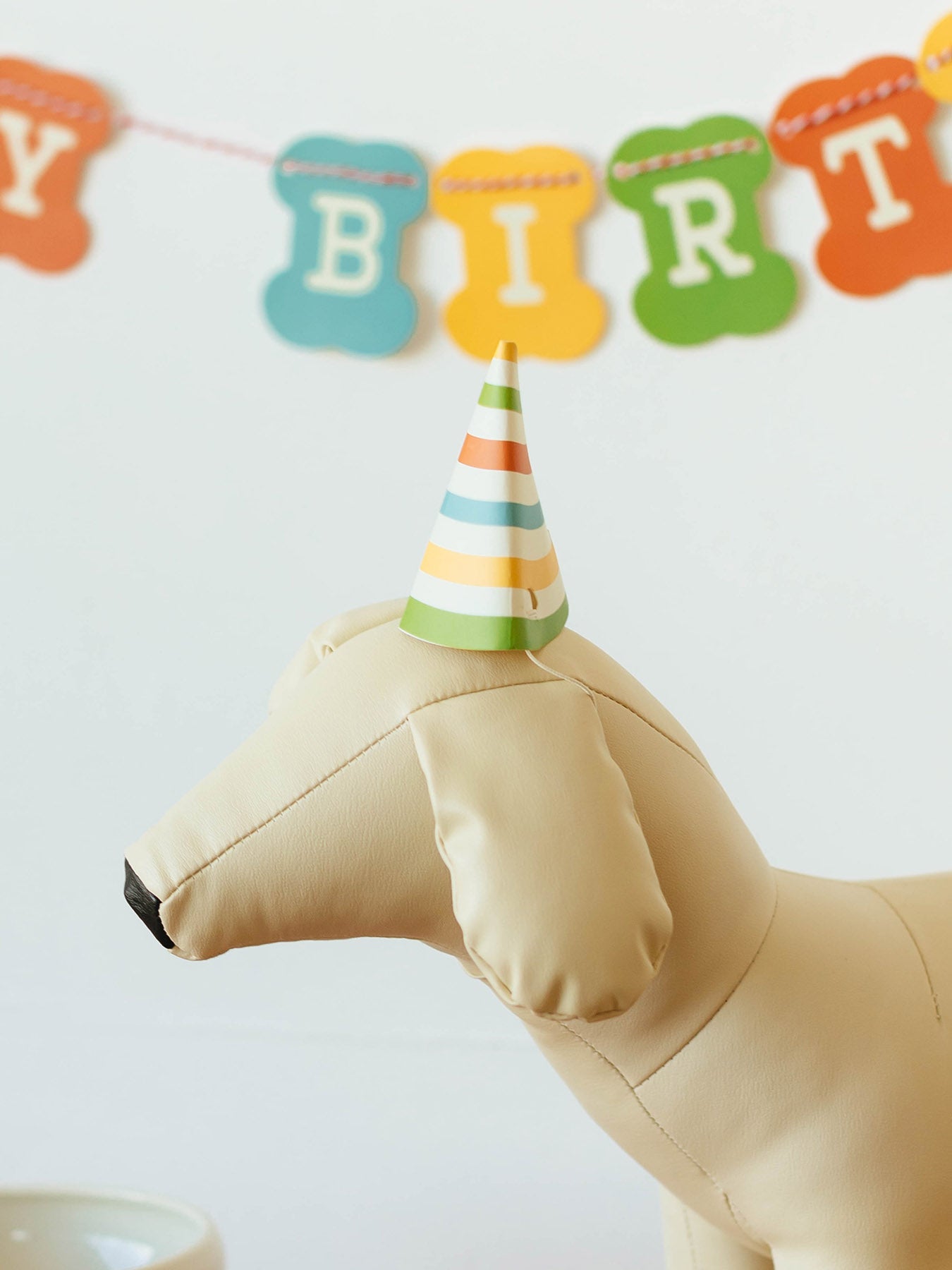 KOBE DOG BIRTHDAY KIT(犬の誕生日キット)