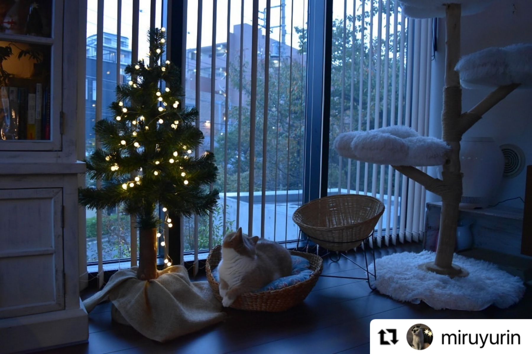 お客様の使用実例