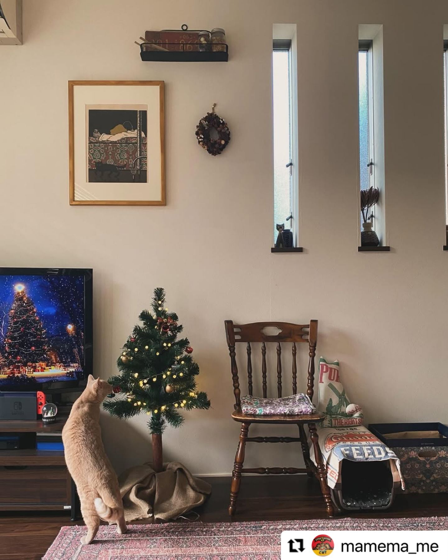 お客様の使用実例