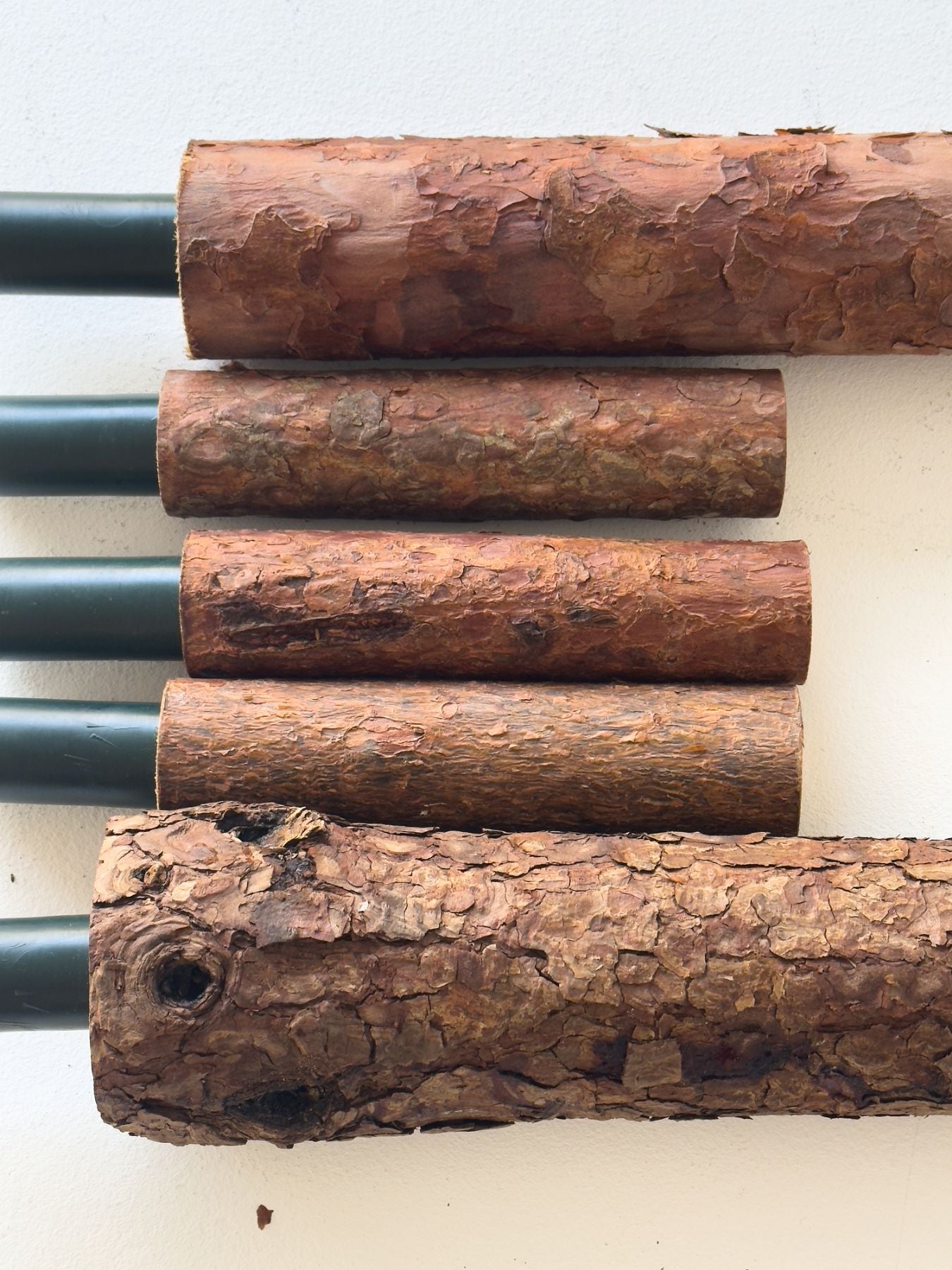 個体差の例(中央はMサイズ、外側はLサイズ)