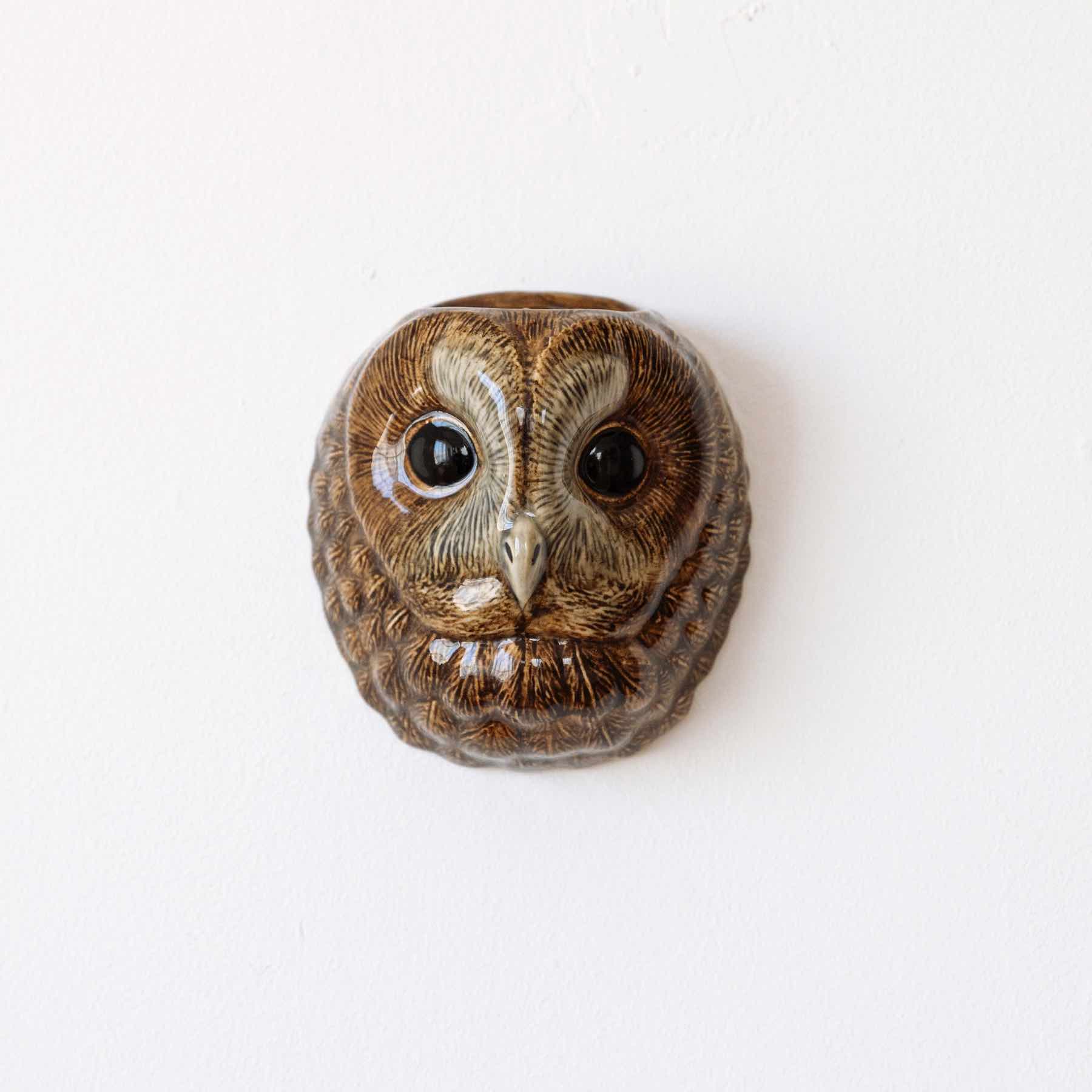 qal0018）Tawny Owl