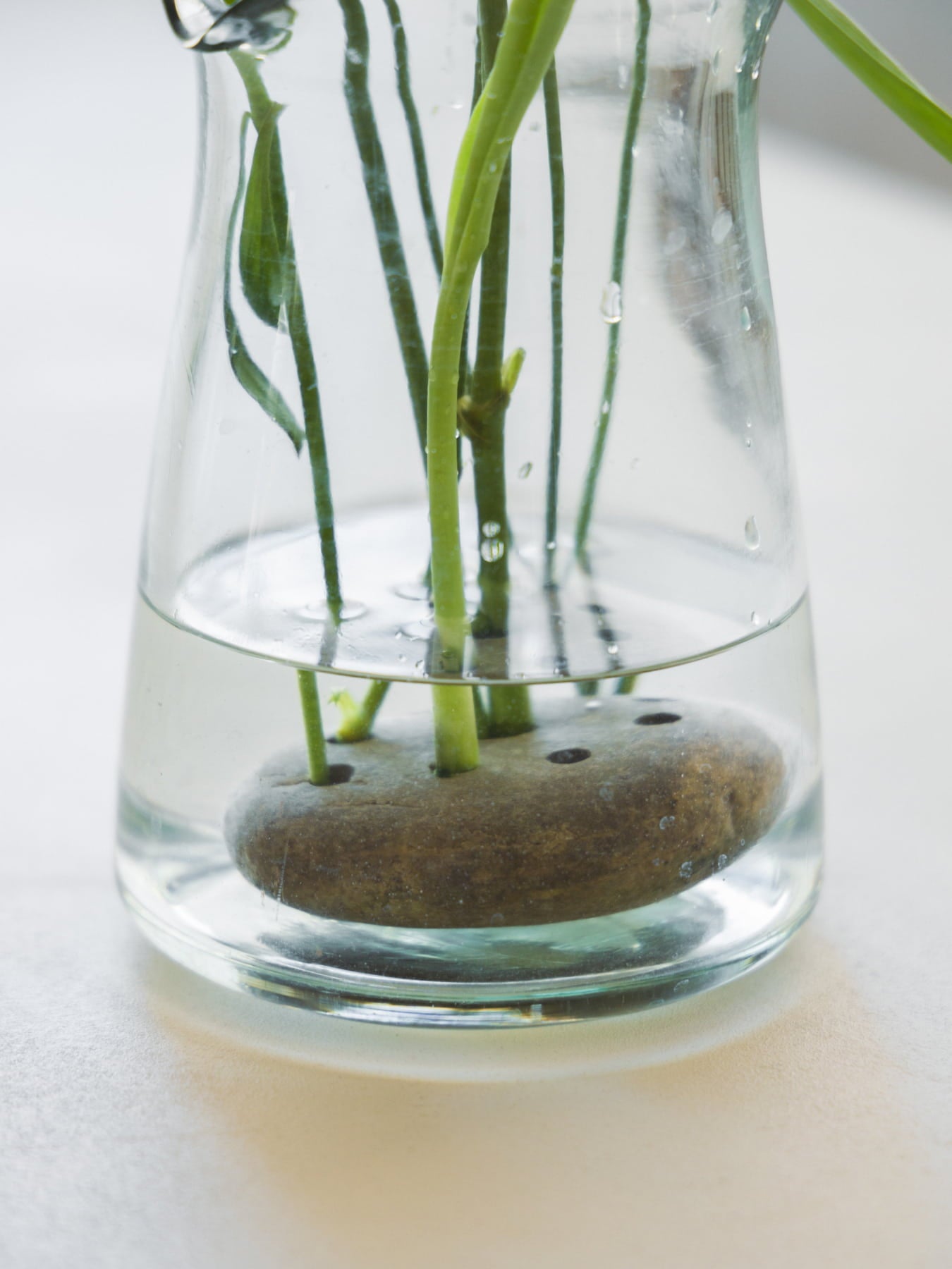 フロッグストーン