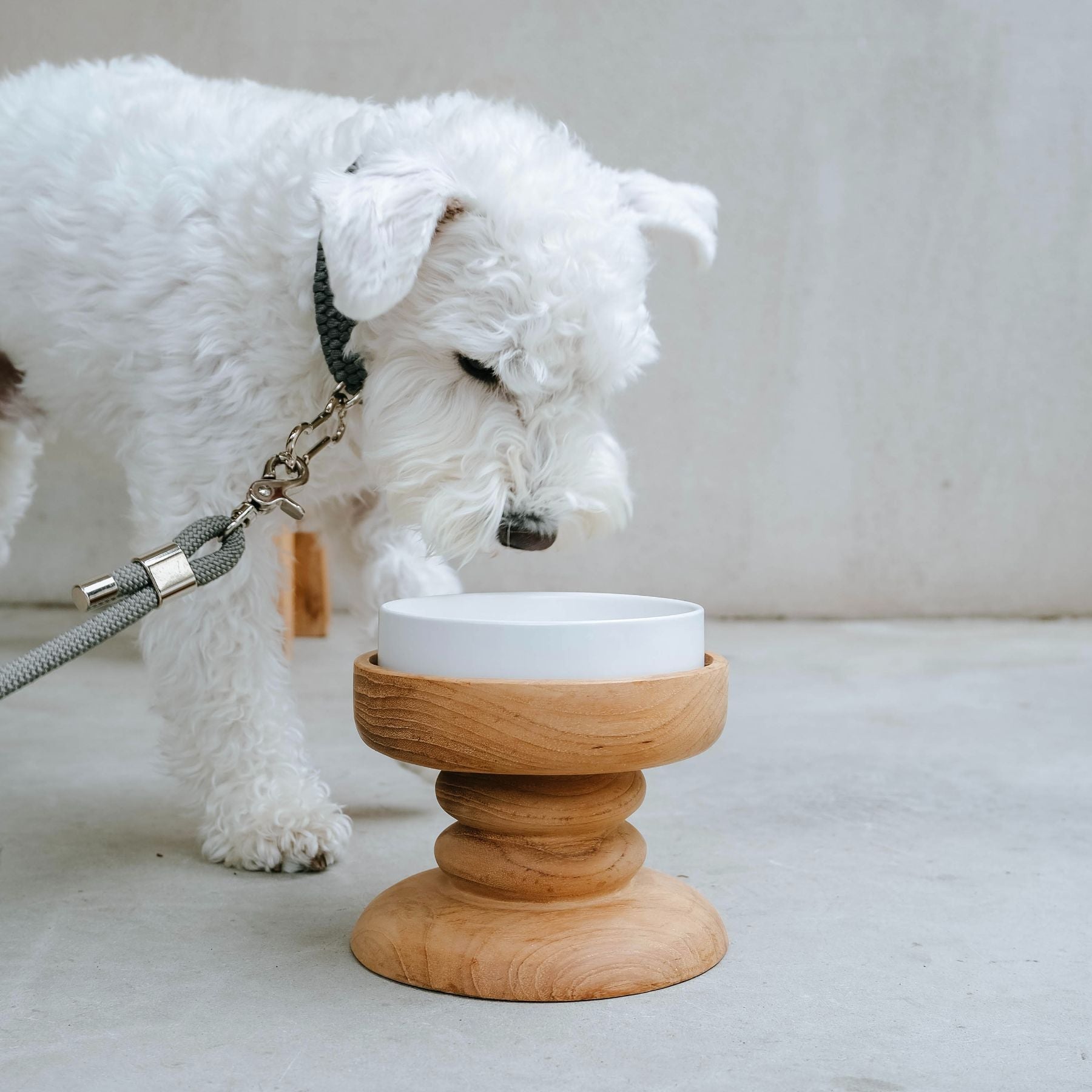 フォイヌ・フードボウルスタンド｜フォイヌ（フードボウル