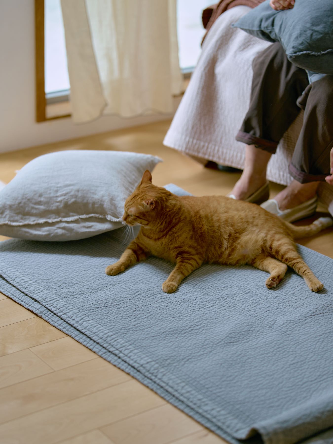 オリジナル・イブルマルチカバー Pelune