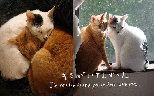 【フォトエッセイ】キミがいてよかった〜小林萌さんの場合〜