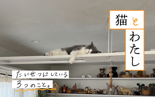 〜猫とわたし〜 たいせつにしている3つのこと〈トヨダさんの場合〉