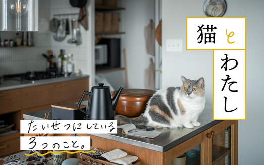 〜猫とわたし〜 たいせつにしている3つのこと〈MISAKOさんの場合〉