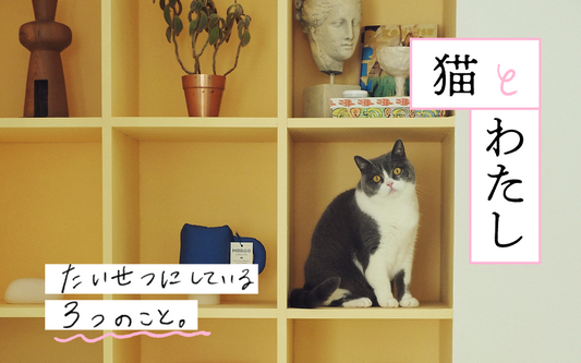 〜猫とわたし〜 たいせつにしている3つのこと〈むにころさんの場合〉