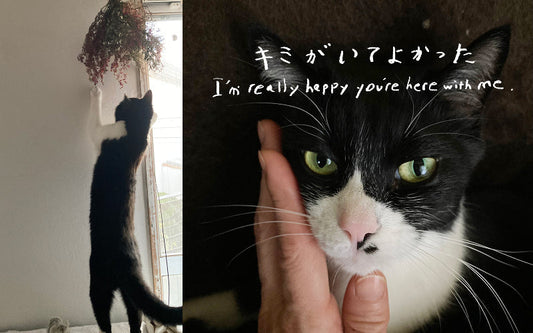 【フォトエッセイ】キミがいてよかった〜滝沢うめのさんの場合〜