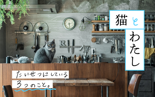 〜猫とわたし〜 たいせつにしている3つのこと〈寺嶋 梨里さんの場合〉