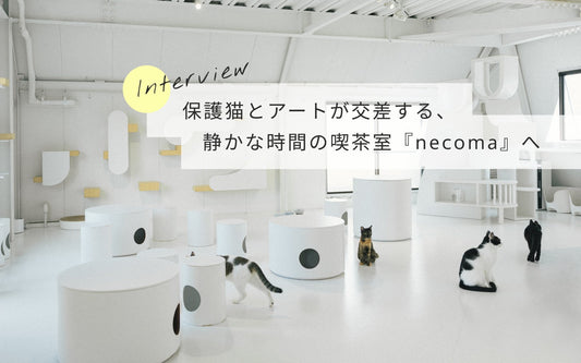 保護猫とアートが交差する、静かな時間の喫茶室『necoma』へ