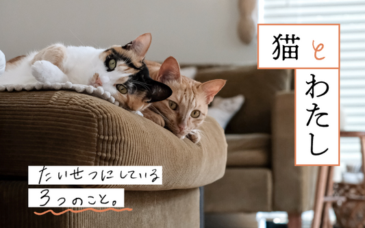 〜猫とわたし〜 たいせつにしている3つのこと〈yoshiさんの場合〉
