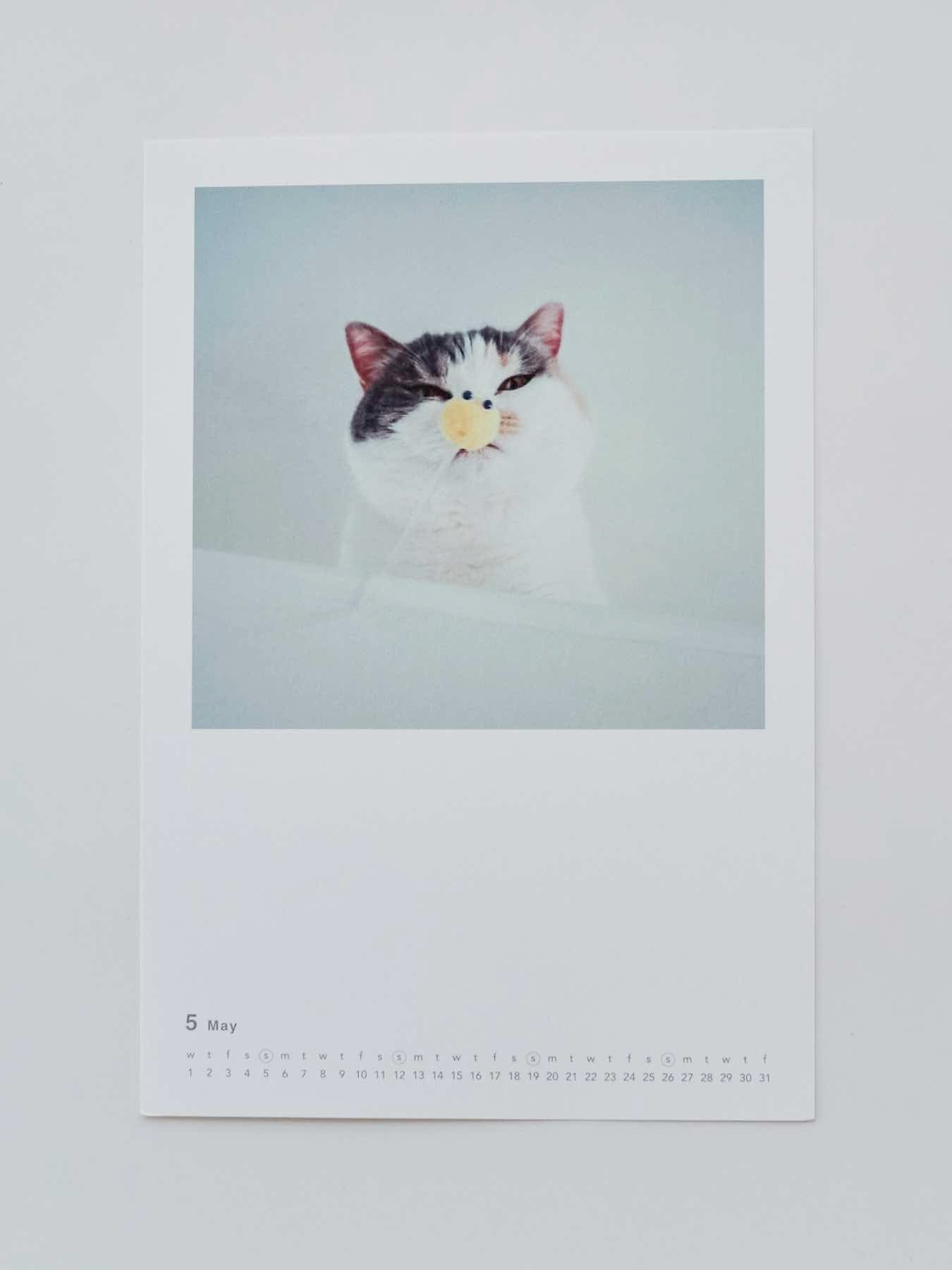5月