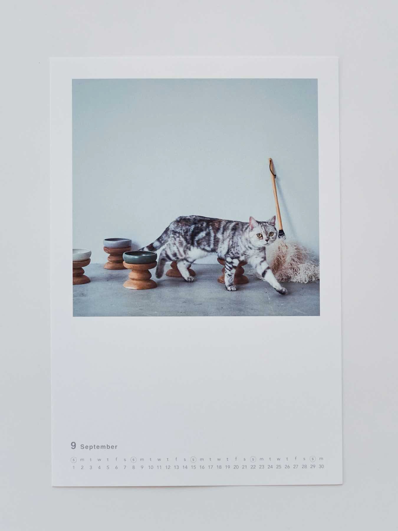 9月