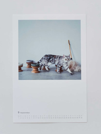9月