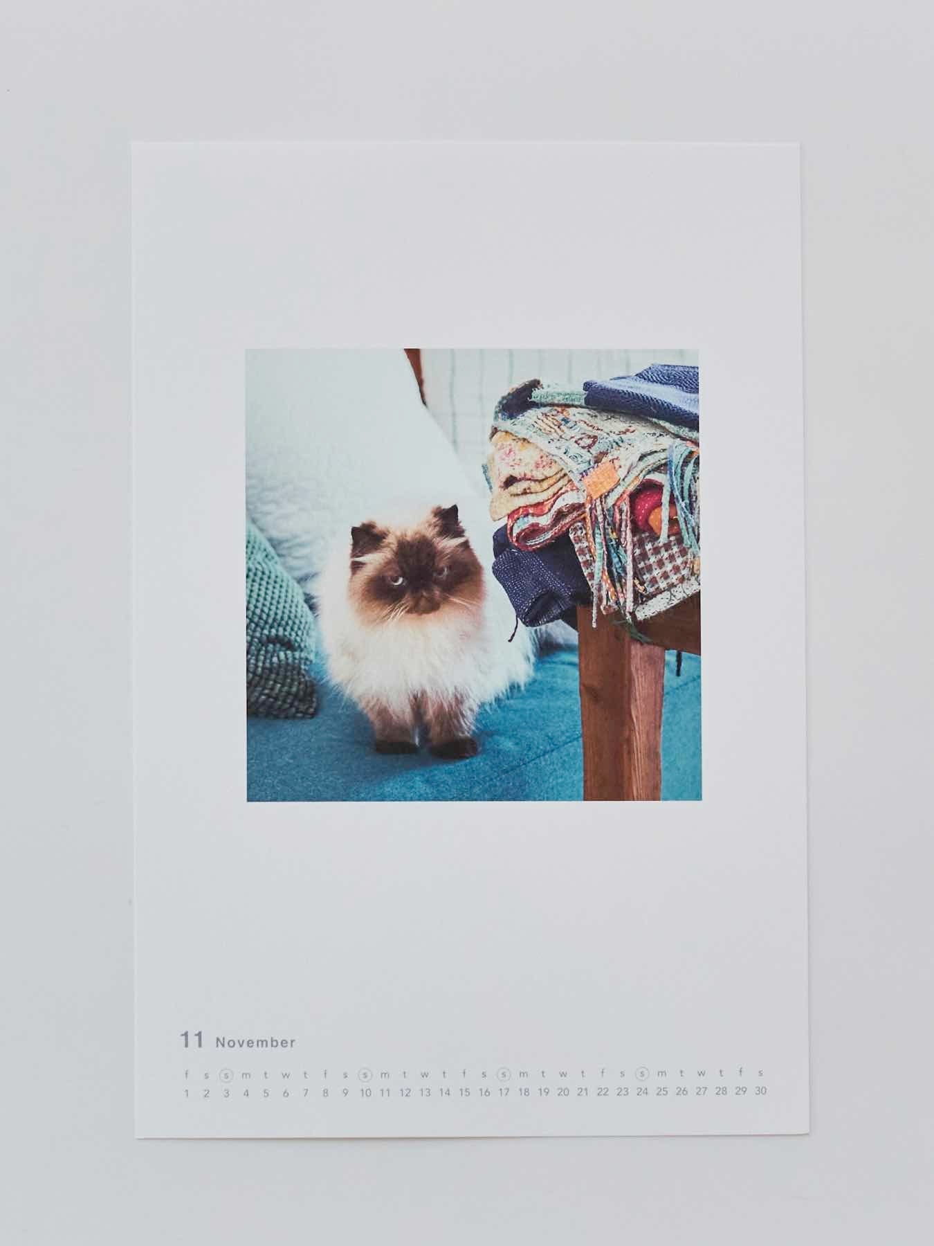 11月