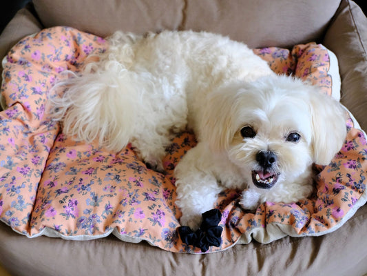 M／フラワーオレンジ<br>モデル：コア（6kg）