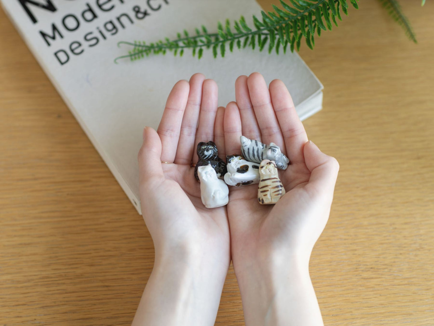 幸生窯 ネコのフェーブ 5点セット（別注）