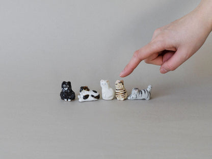 幸生窯 ネコのフェーブ 5点セット（別注）