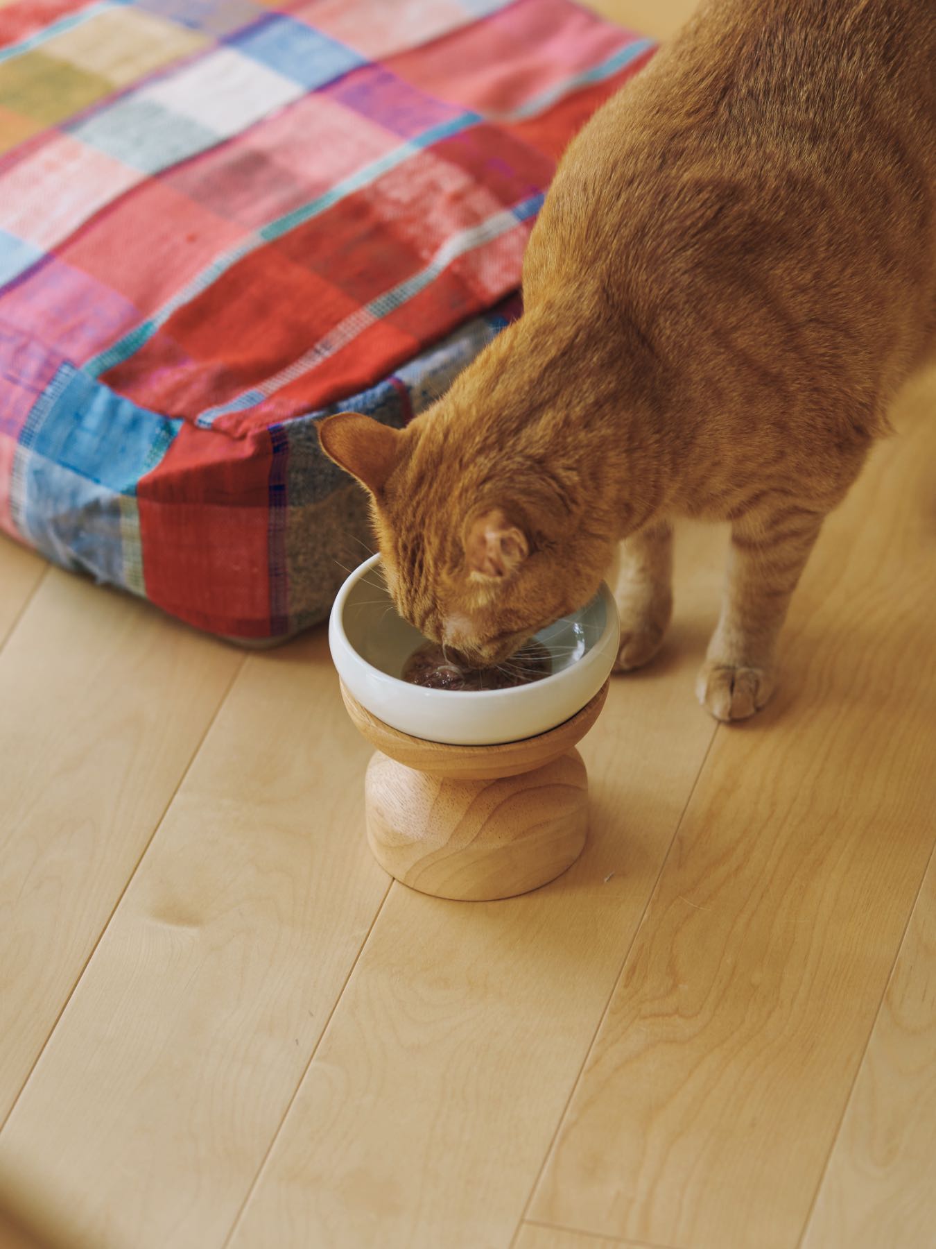 オルネコ・フードボウルスタンド Calm｜オルネコ（フードボウル