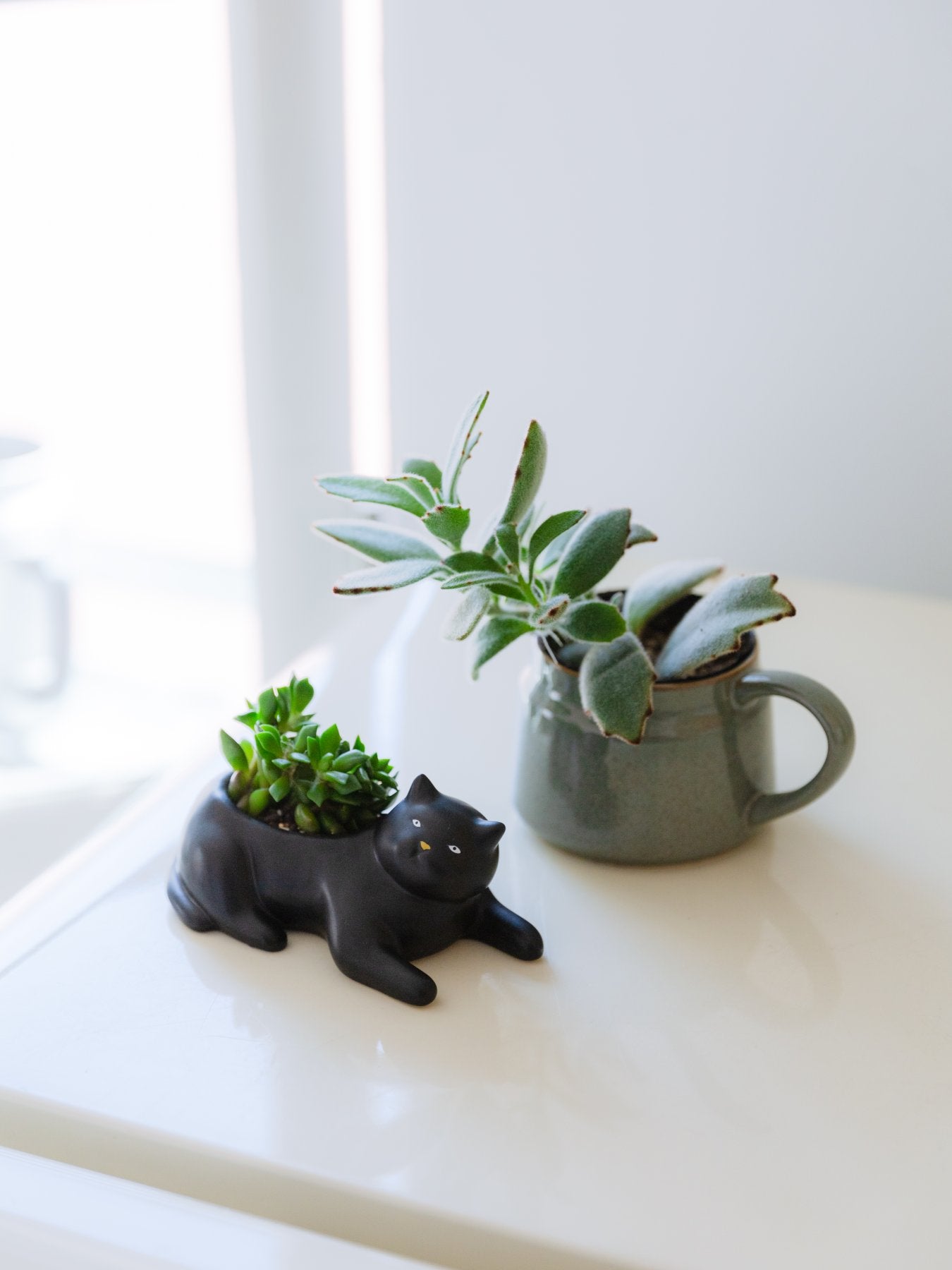BLACK CAT PLANTER（猫のプランター）｜ガーデニング｜オルネ ド
