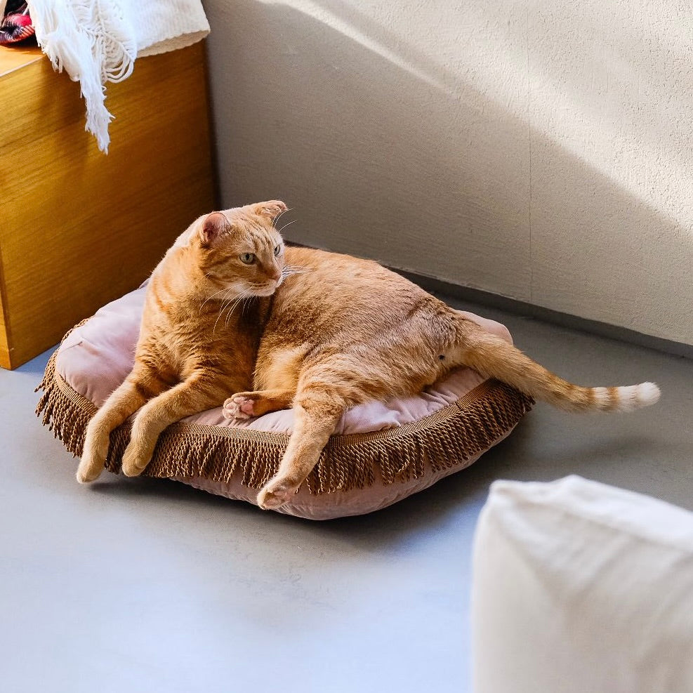 ネコのベッド・ハウス｜オルネコ｜オルネ ド フォイユ 公式オンライン