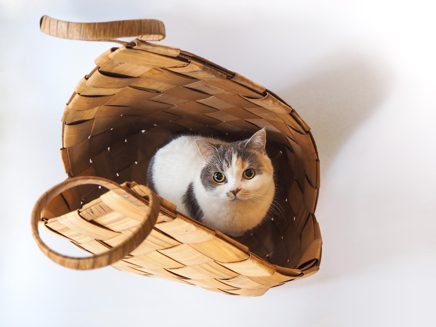 オルネドフォイユ　ヴィンテージ ハンドル　バスケット オルネドフォイユヴィンテージ ハンドルバスケット