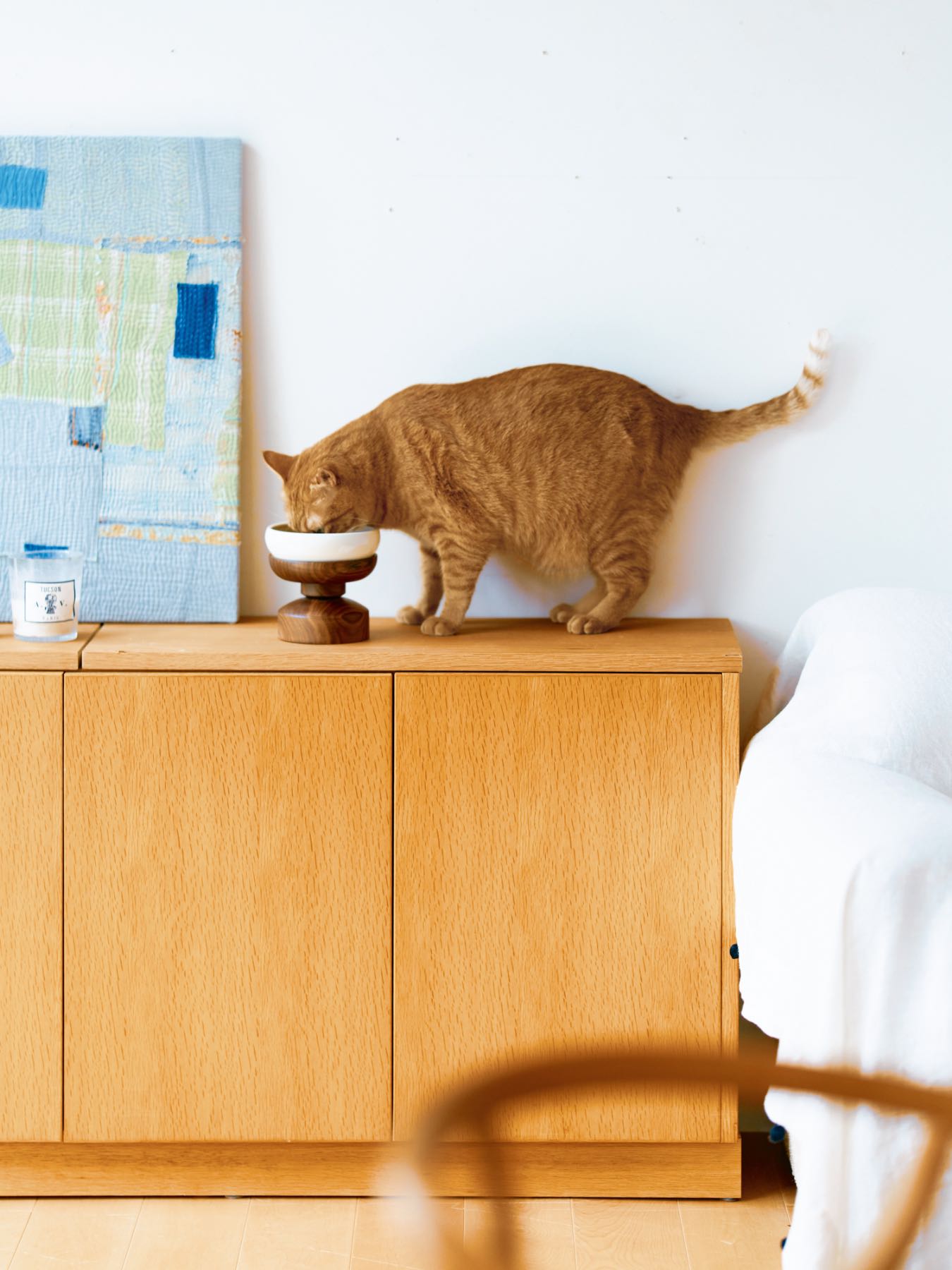 オルネコ　フードボウルスタンド オルネコ・フードボウルスタンド｜オルネコ（フードボウル・フード