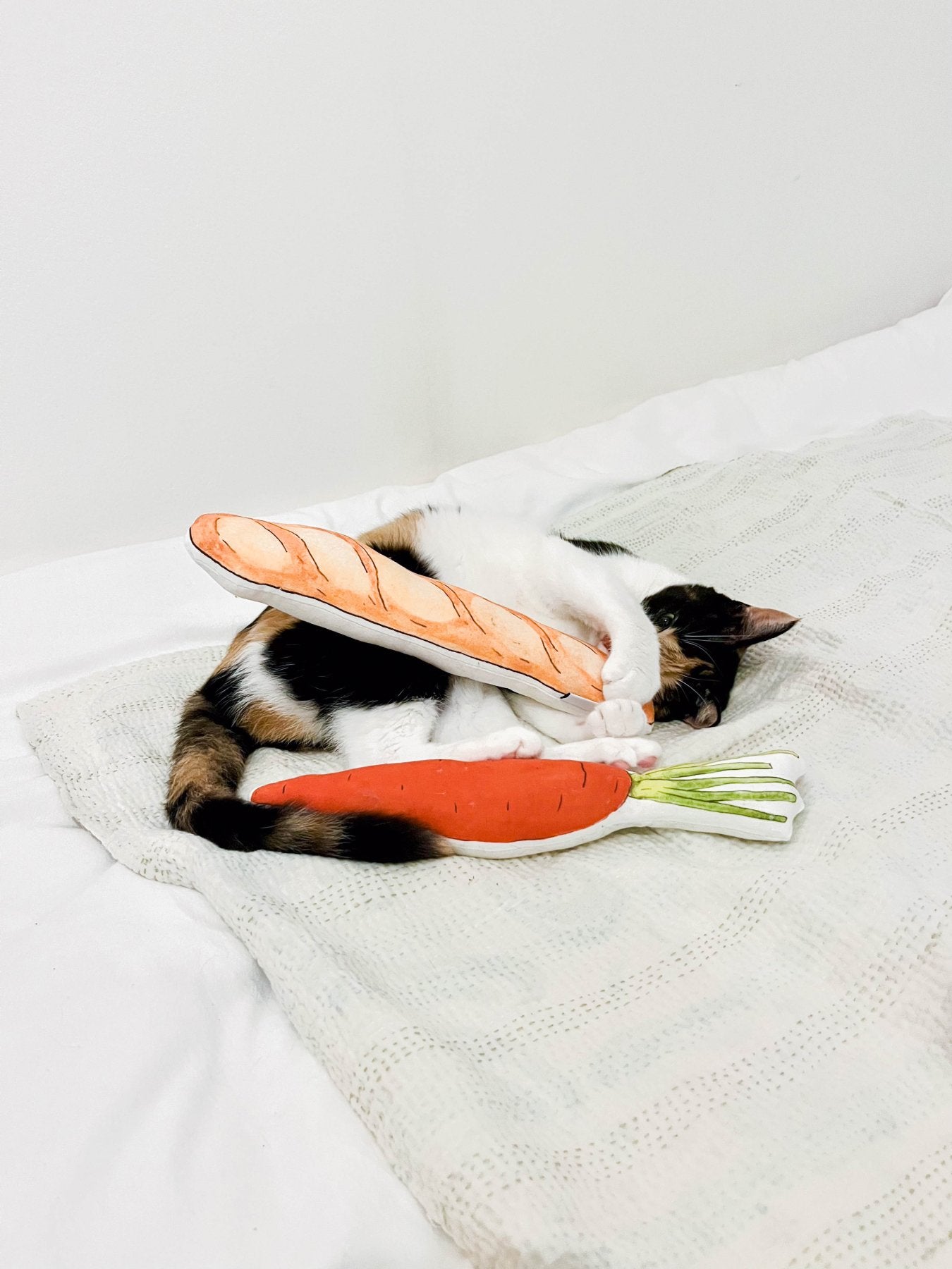 isabelle boinot × Orné de Feuilles ペットトイ｜オブジェ