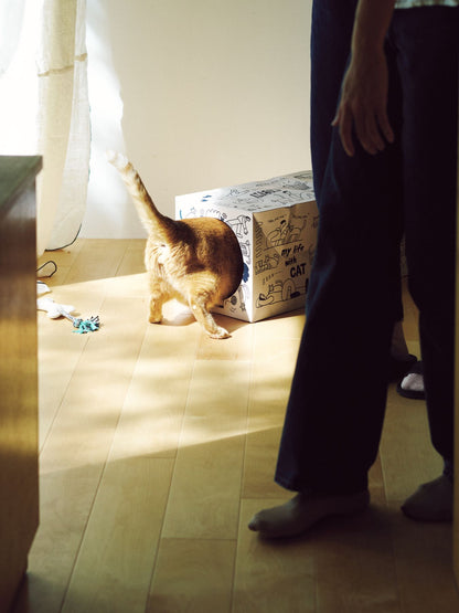 STOMACHACHE. × Orneko ネコトンネル