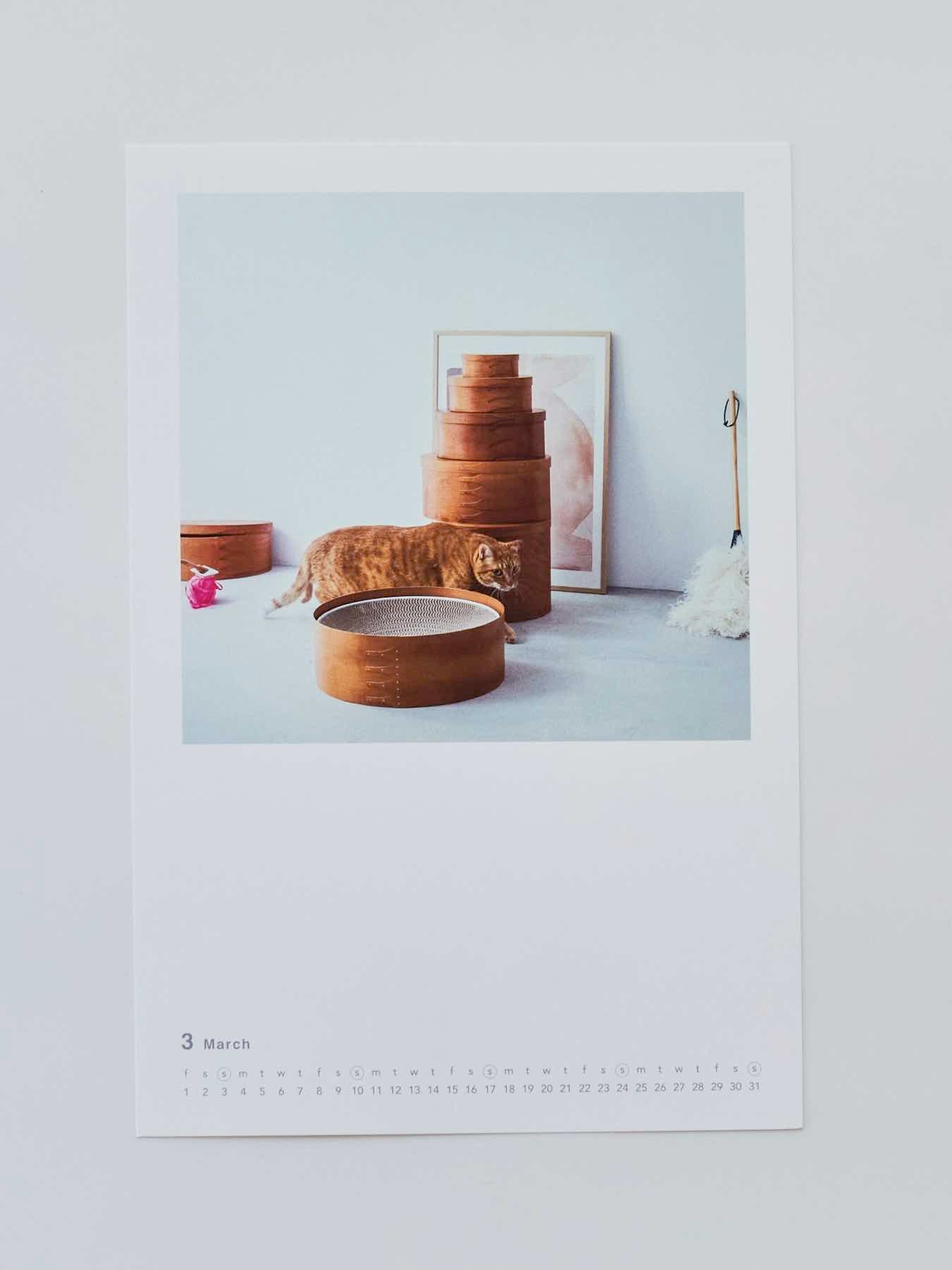 3月