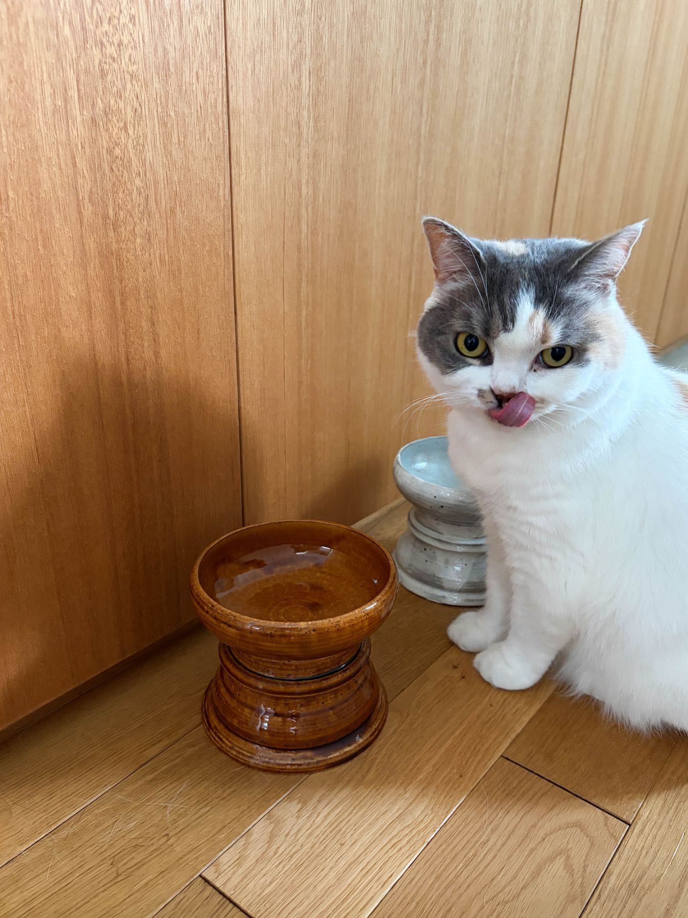 兵山窯 × Orneko フードボウル&スタンドセット｜オルネコ（フード