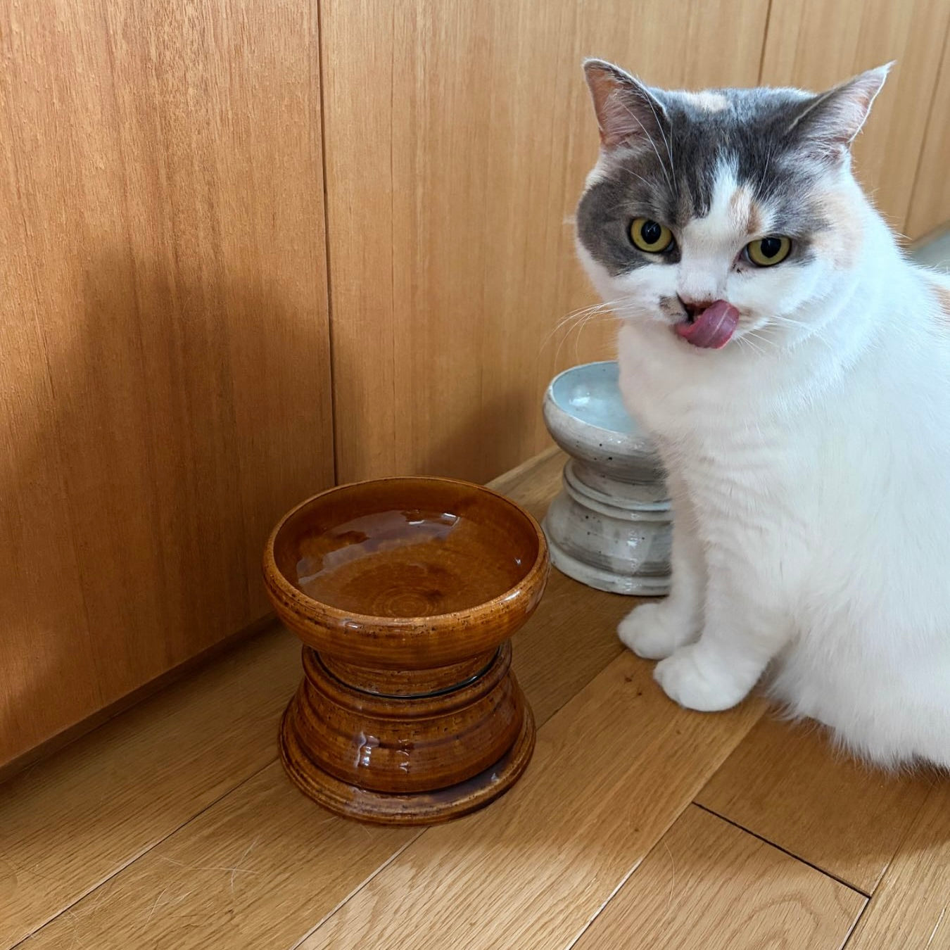 兵山窯 × Orneko フードボウル&スタンドセット