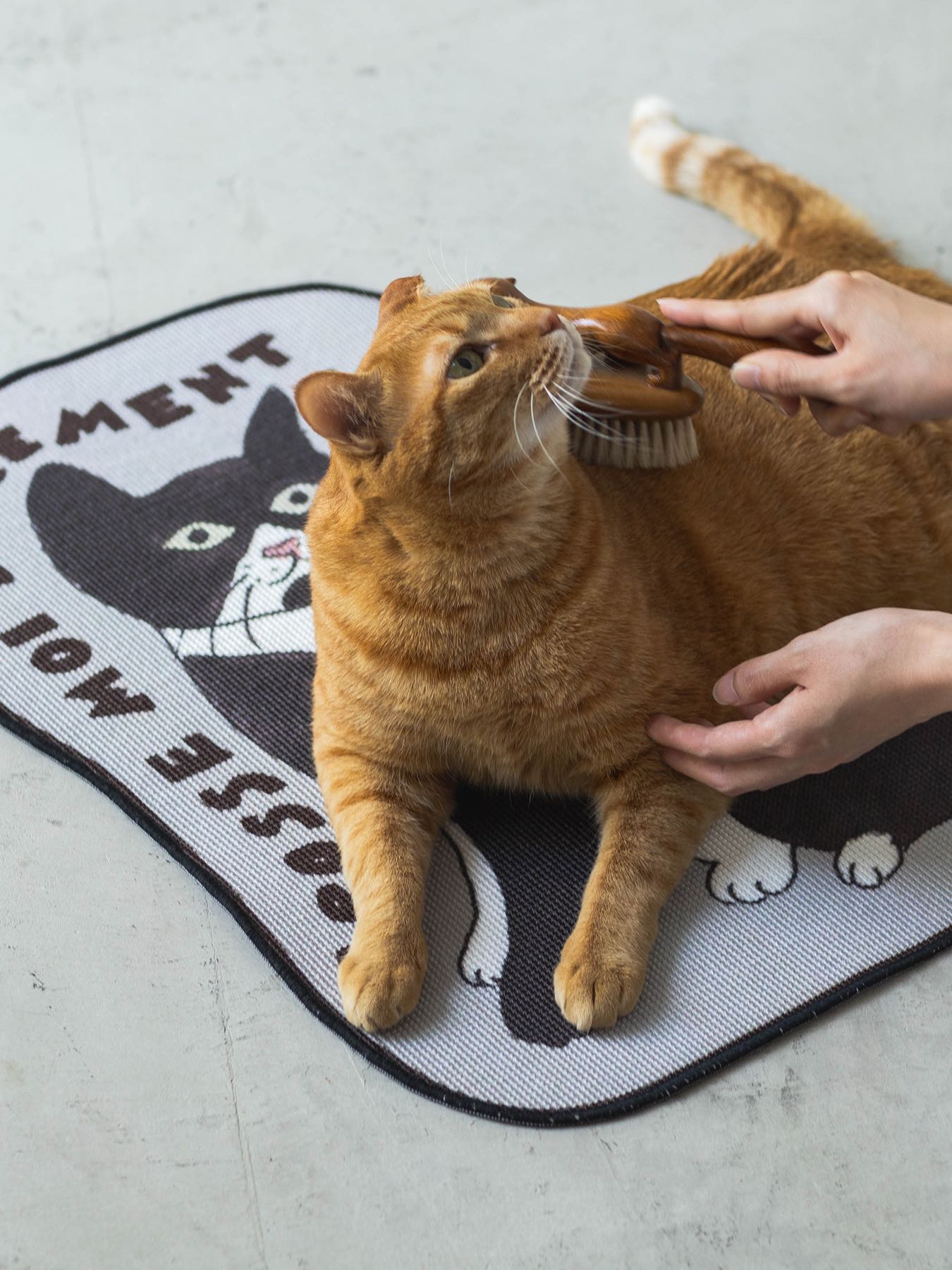 isabelle boinot × Orneko ケアマット（62×59cm）｜オルネコ