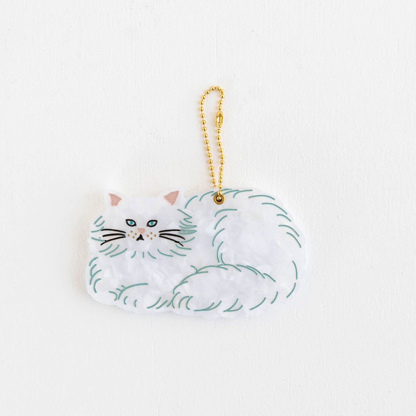 FLUFFY CAT