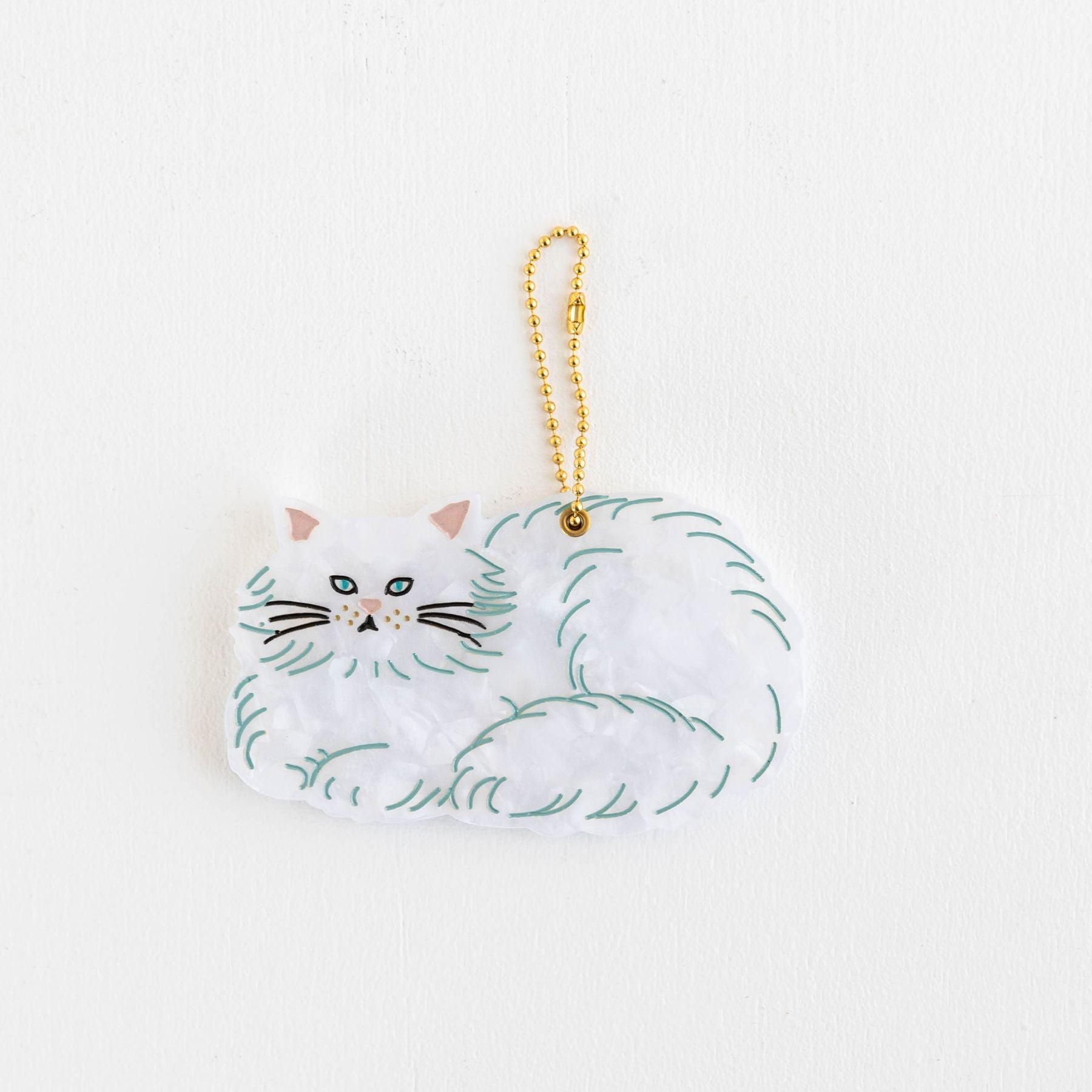 FLUFFY CAT