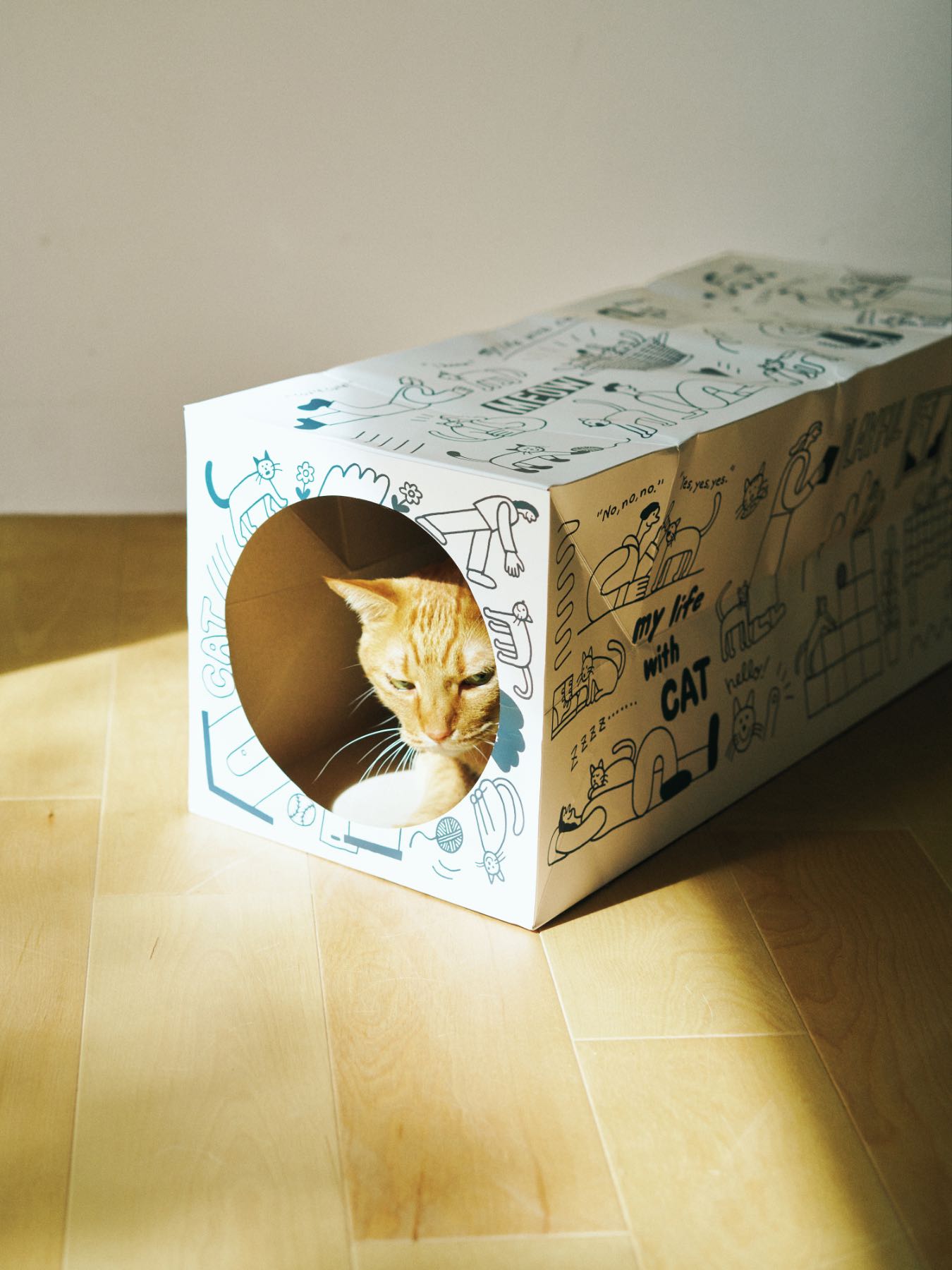 STOMACHACHE. × Orneko ネコトンネル