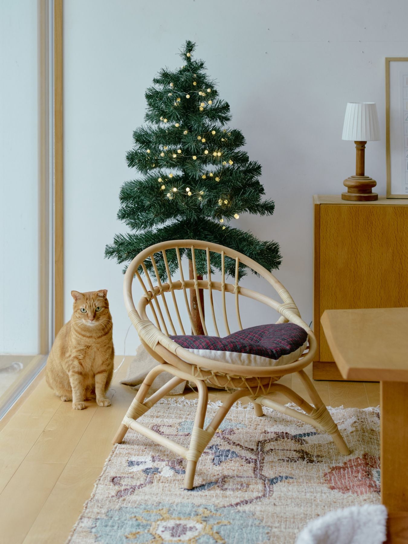 ラタンラウンドチェア（リバーシブルクッション付き）｜家具｜オルネ