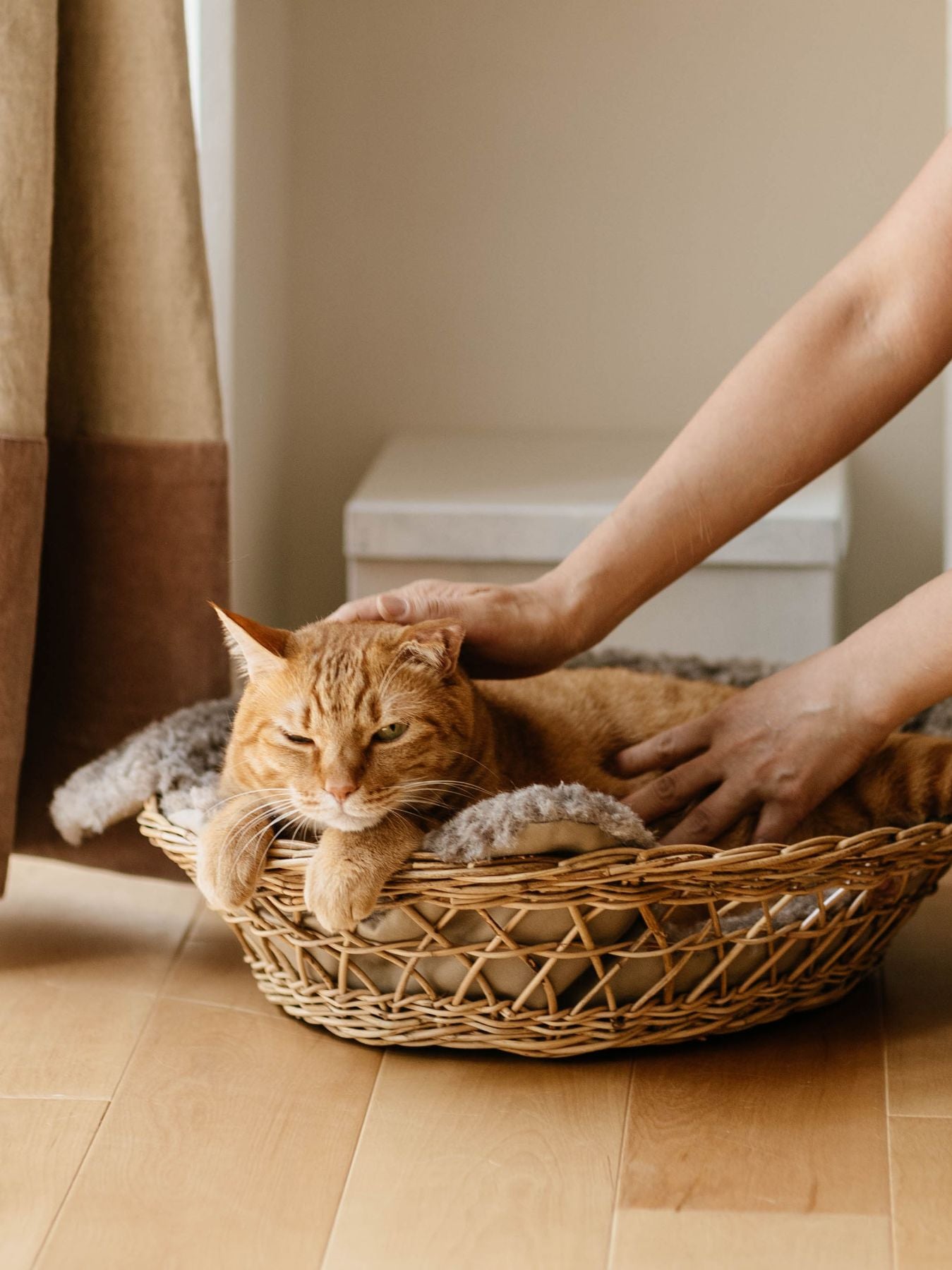 オルネコ・キャットバスケット Blottie｜オルネコ（ベッド・ハウス