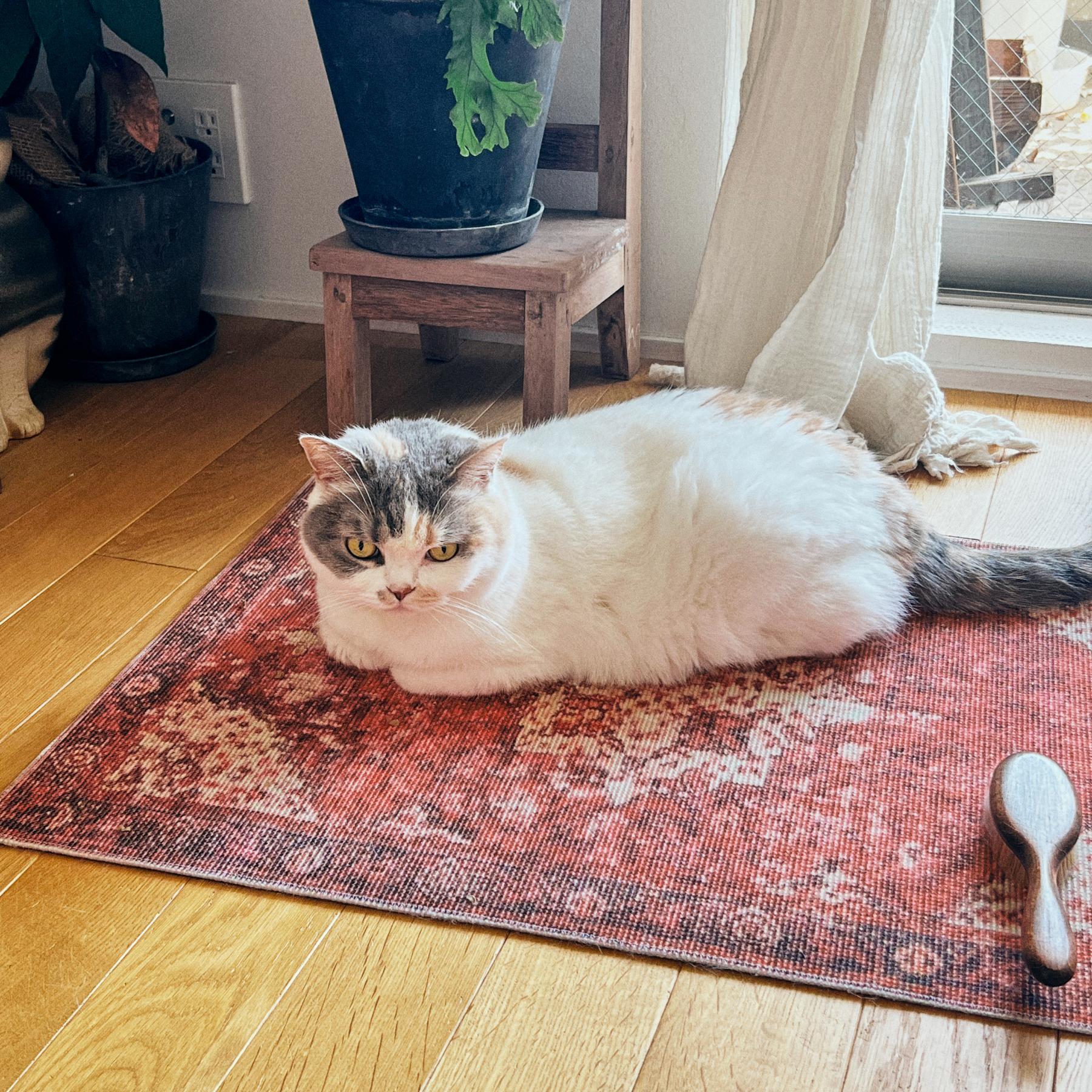 マット | ラグ・マット・クッション | オルネ ド フォイユ 公式