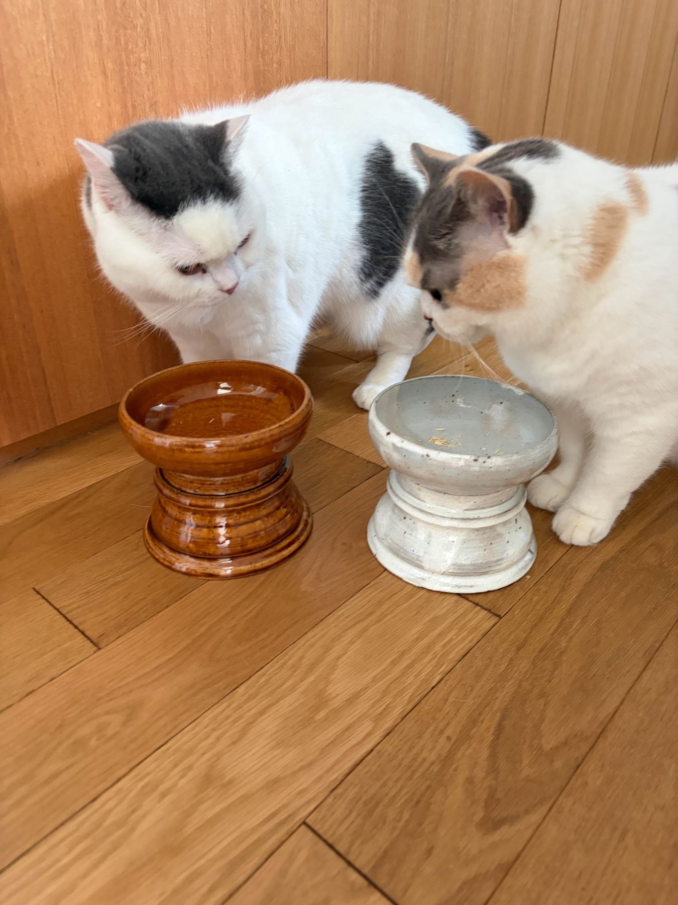 兵山窯 × Orneko フードボウル&スタンドセット｜オルネコ（フード